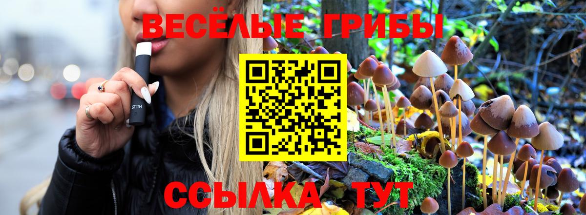 Псилоцибиновые грибы мухоморы Железногорск