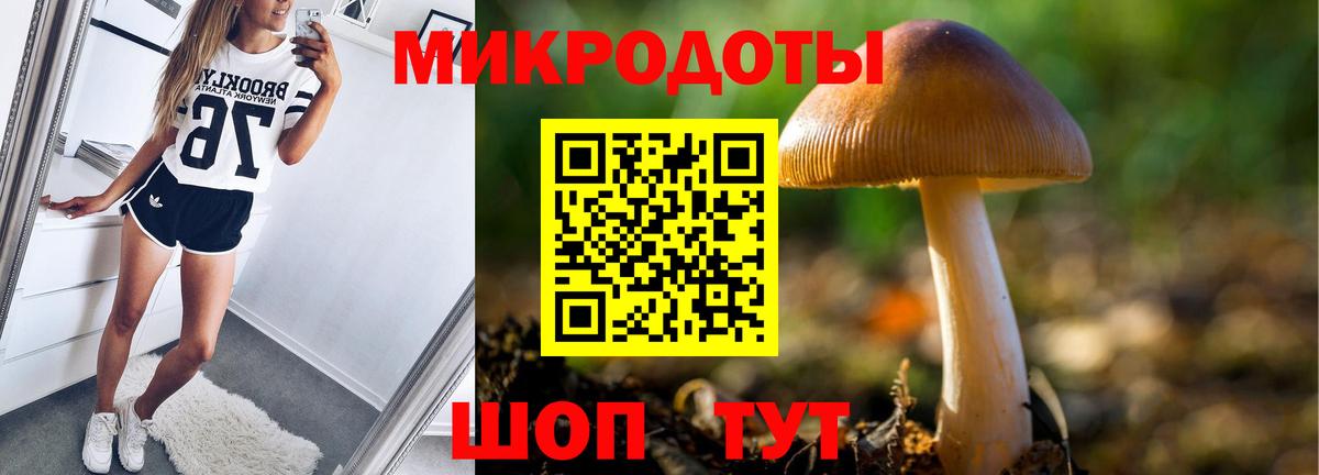 Железногорск  Псилоцибиновые грибы ЛСД  Вход с VPN  Галлюциногенные грибы GOLDEN TEACHER 